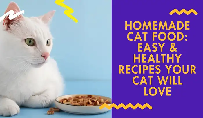 Making Homemade Cat Food: Better, Easier, Happier